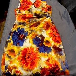 Beautiful Fall Ralph Lauren Dress.